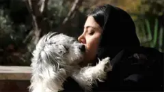 పెంపుడు జంతువులు