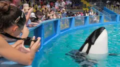 Visitantes observan a la orca Lolita en el Seaquarium de Miami