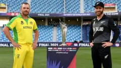 ఆరోన్ ఫించ్, కేన్ విలియమ్సన్