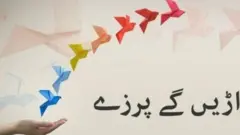 آمنہ مفتی