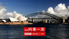 悉尼