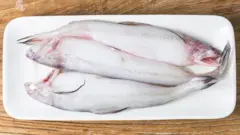 బాంబే డక్