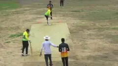 ਫੇਕ ਆਈਪੀਐੱਲ