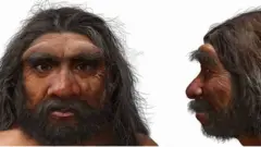 Artist's impression of what Dragon Man looked like