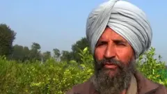 Agriculture