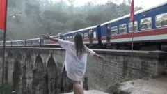 උඩරට දුම්රිය මාර්ගයේ යන සංචාරකයන්ට නව අත්දැකීමක්