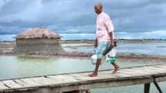 પ્રતીકાત્મક તસવીર