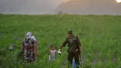 чек ара