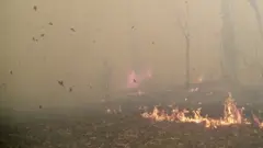 Пожежі Чорнобиля