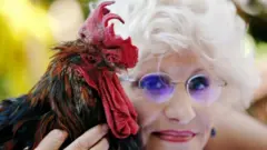 உரிமையாளர் ஃபெஸோடு சேவல் கோழி மோரிஸ்