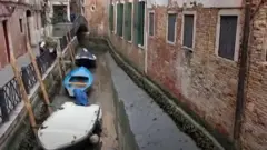 वेनिस