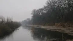 Obedska bara