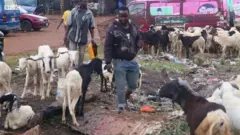 Ẹran àgbò f'ọ́dún iléyá