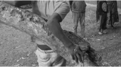 Boy wey dem nail to tree