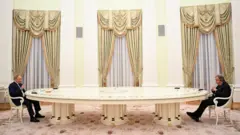 Vladimir Putin and Antonio Guterres sit several metres apart at opposite ends of a very large ornate table