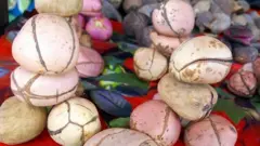 Ọjị Igbo