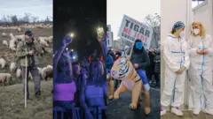 pastir na staroj planini, egzit festival 2021, protest frilensera, masovna vakcinacija u srbiji