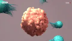 కొవ్వు