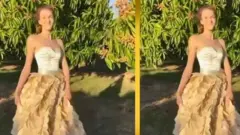 आंबे