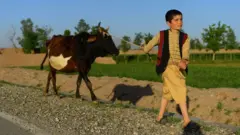 غوا