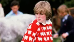 د شهزادګۍ ډیانا بنیان (جاکټ) چې د سپینو پسونو منځ‌کې د تور پسه انځور پکې ښکاري، په نیویارک کې د سوزبي لیلام کې په ۱٫۱۴ میلیون ډالرو (۹۲۰،۰۰۰ پونډو) پلورل شوی دی.