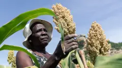 મહિલા ખેડૂત આફ્રિકા