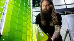 Крафтовая пивоварня