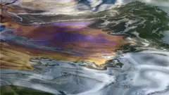 нефтяная пленка