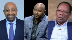 ብርሃኑ ነጋ (ፕ/ር)፣ አቶ በለጠ ሞላ፣ አቶ ቀጀላ መርዳሳ