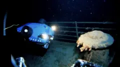 टाइटानिक जहाजको अवशेष