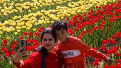 காஷ்மீர் பூ