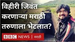 महाराष्ट्र बारव मोहीम