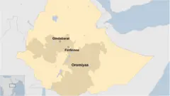 Godina Shawaa Lixaa, aanaa Gindabarat
