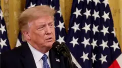 US President Donald Trump (file pic)