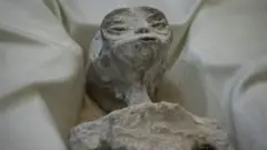 One of the two 'non-human' beings displayed to the media is seen during a press conference of Mexican journalist and UFO expert, Jaime Maussan, at the Camino Real hotel, in Mexico City, Mexico on September 13, 2023. The press conference was holding the day after the country's first public congressional hearing on the topic with UFO experts. The bodies displayed in cases, have three fingers on each hand they were recovered in Peru in 2017, they have no relation to human beings, experts said.