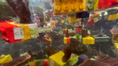 પ્રતીકાત્મક તસવીર