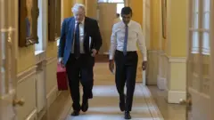 İngiltere Başbakanı Boris Johnson ve Maliye Bakanı Rishi Sunak