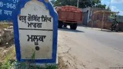 ਬਠਿੰਡਾ, ਦਲਿਤ