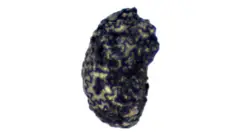 Igisigarira ca rumwe mu mbuto z'itabi cacitse ikara