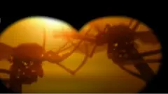 Ṣé Ẹnu Toyin ati Lizzy pa lọ́ọ́la lẹ́yìn ìkìlọ̀