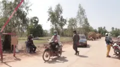 ကေအန်ယူ ကိုဗစ်စစ်ဆေးရေးဂိတ်