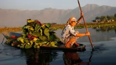 जम्मू काश्मीर