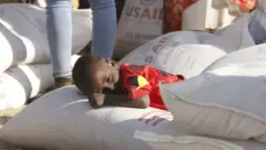 Daa'ima midhaan deeggarsaarra ciistee jirtu