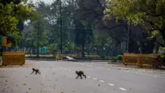 दिल्ली