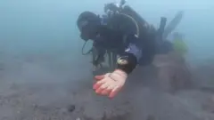 Ship wreckage