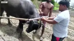 ఆదిలాబాద్ రైతు