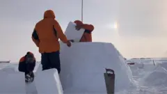 Iglo