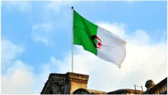 علم الجزائر