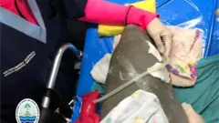 ยามีล ลูกพะยูน