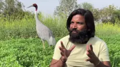 కొంగ స్నేహితుడు